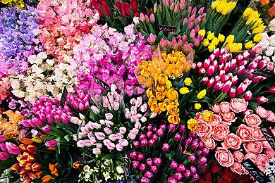 TGA 2021：《最终幻想7：重制过渡版》12月16日登陆PC